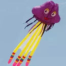 Zmeu zburător uriaș - mai multe culori