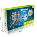 Model de corp uman cu schelet