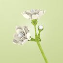 Set de construcție floare - mai multe variante