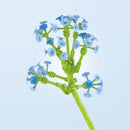 Set de construcție floare - mai multe variante