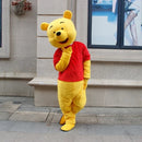 Costum Winnie The Pooh