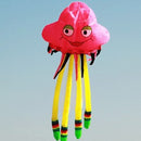 Zmeu zburător uriaș - mai multe culori