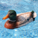 Rățușcă colorată teleghidată