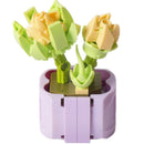 Set de construit plante de grădină - mai multe variante