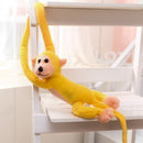 Plush maimuță - diferite culori