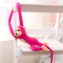 Plush maimuță - diferite culori