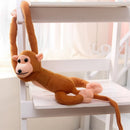 Plush maimuță - diferite culori