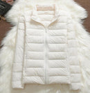 Jachetă de iarnă pentru femei fără glugă - mai multe culori