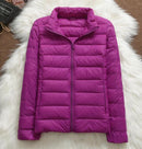 Jachetă de iarnă pentru femei fără glugă - mai multe culori