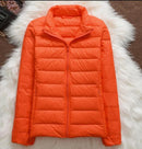 Jachetă de iarnă pentru femei fără glugă - mai multe culori