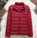 Jachetă de iarnă pentru femei fără glugă - mai multe culori