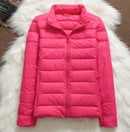 Jachetă de iarnă pentru femei fără glugă - mai multe culori