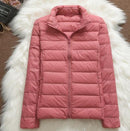 Jachetă de iarnă pentru femei fără glugă - mai multe culori