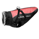 Tinuta de iarnă pentru câini - mai multe variante