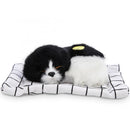 Câine de pluș electronic - mai multe variante