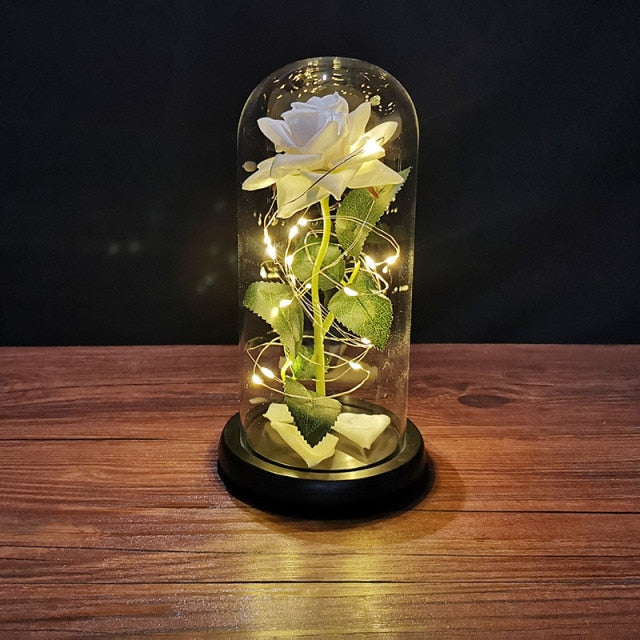 Luminous Valentine's Day Rose - mai multe variante