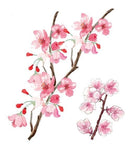 Tatuaj de flori de piersic pentru mici și mari - mai multe variante