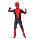 Costum Spiderman