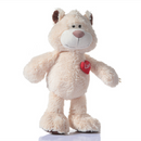 Ursuleț de plush teddy cu inimă
