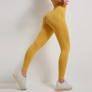 Jambiere cu talie înaltă pentru femei - mai multe variante