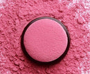 Fard de obraz pudră cu burete - 4g