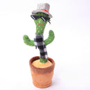 Jucărie vorbitoare și dansatoare cactus - mai multe variante