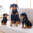 Plush câine - Dobermann
